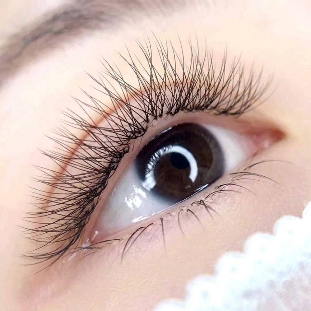 3D Clover Lash Tray 0.07MM