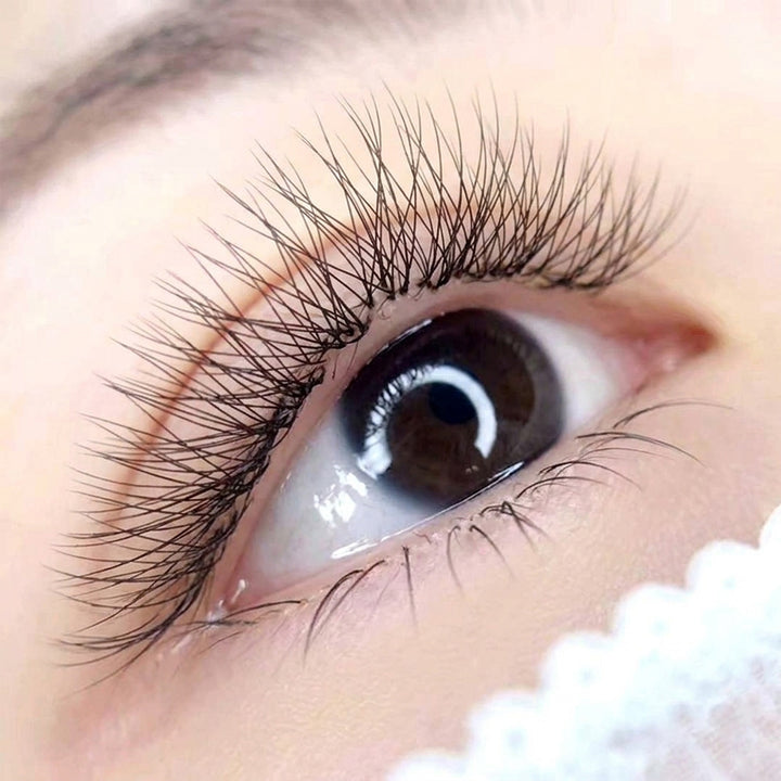 3D Clover Lash Tray 0.07MM