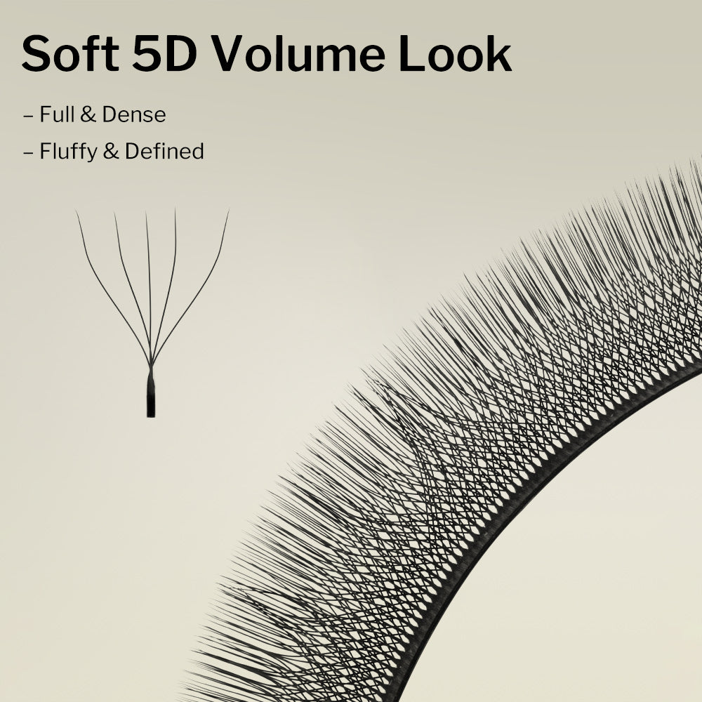 5D Clover Lash Tray 0.07MM