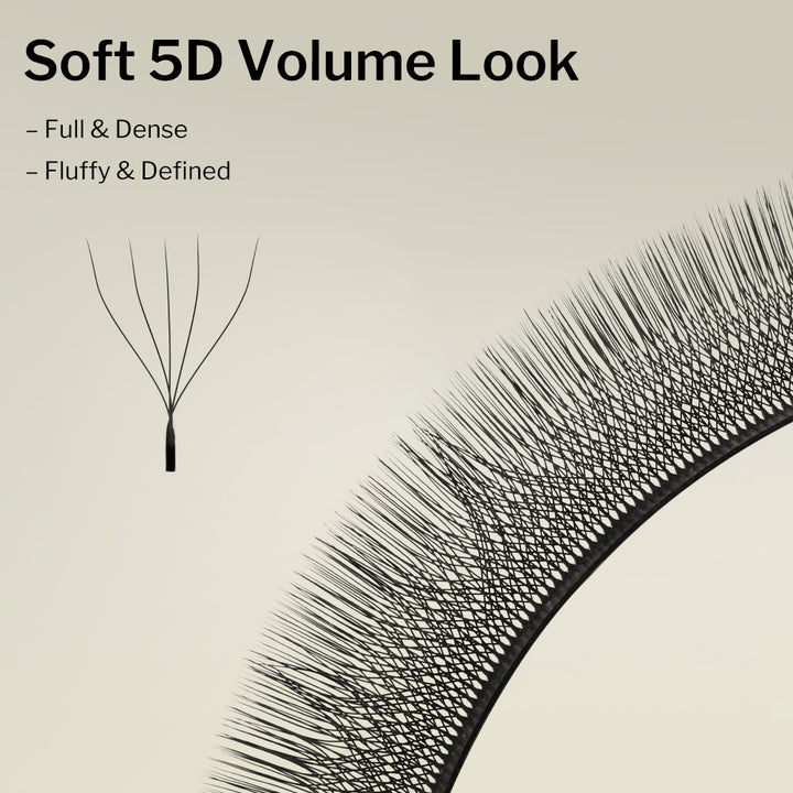 5D Clover Lash Tray 0.07MM
