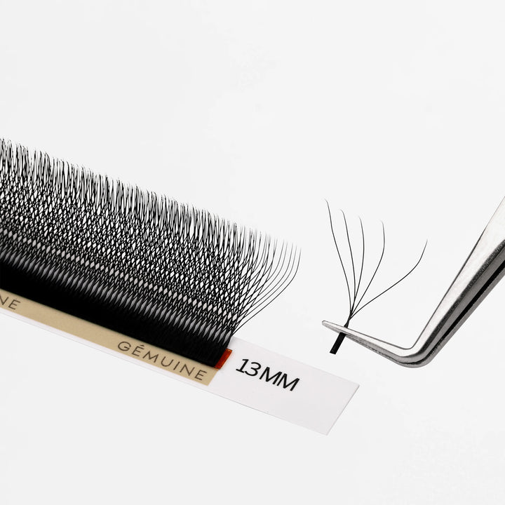 5D Clover Lash Tray 0.07MM