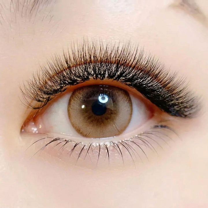 5D Clover Lash Tray 0.07MM