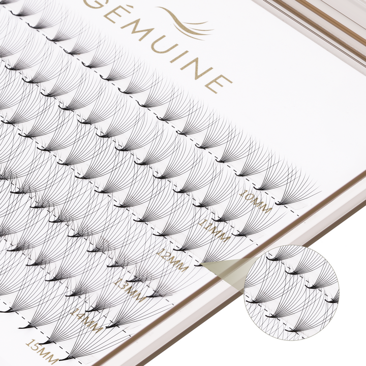 Mini Premade Volume Fans 10D 0.05MM